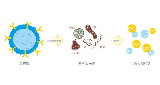 光觸媒除甲醛和生物酶除甲醛區別